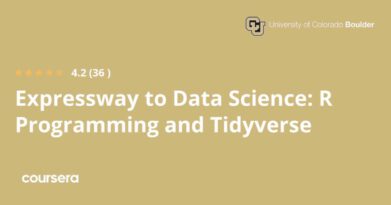 Expressway to Data Science: R Programming and Tidyverse התמחות מקצועית מוסמכת של Google