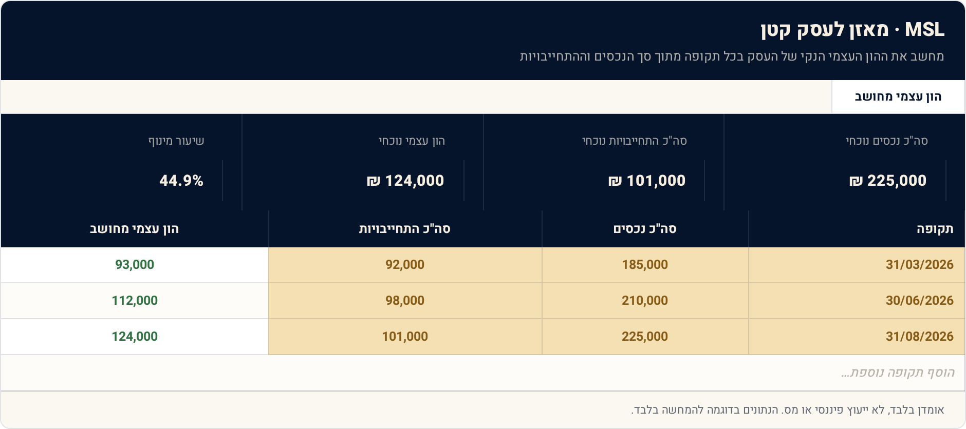 תבנית Excel: מאזן לעסק קטן — מה יש, מה חייבים, מה שווה העסק 1 הון עצמי מחושב — תצוגה מקדימה של הגיליון הממולא