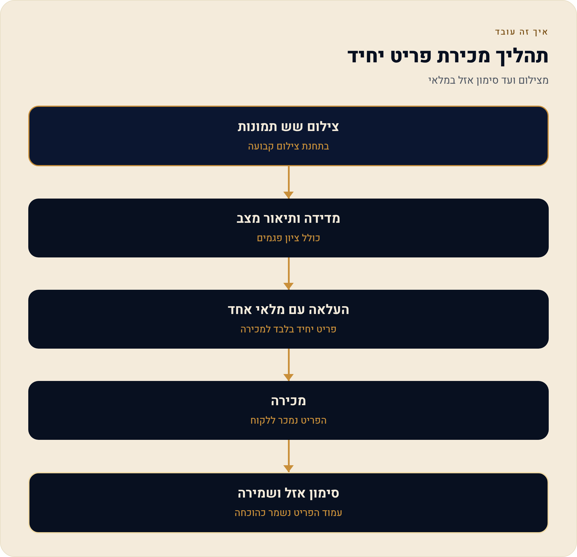 חנות יד שנייה ועודפים בוויקס: כשכל פריט הוא מלאי של אחד 1 מצילום ועד סימון אזל במלאי