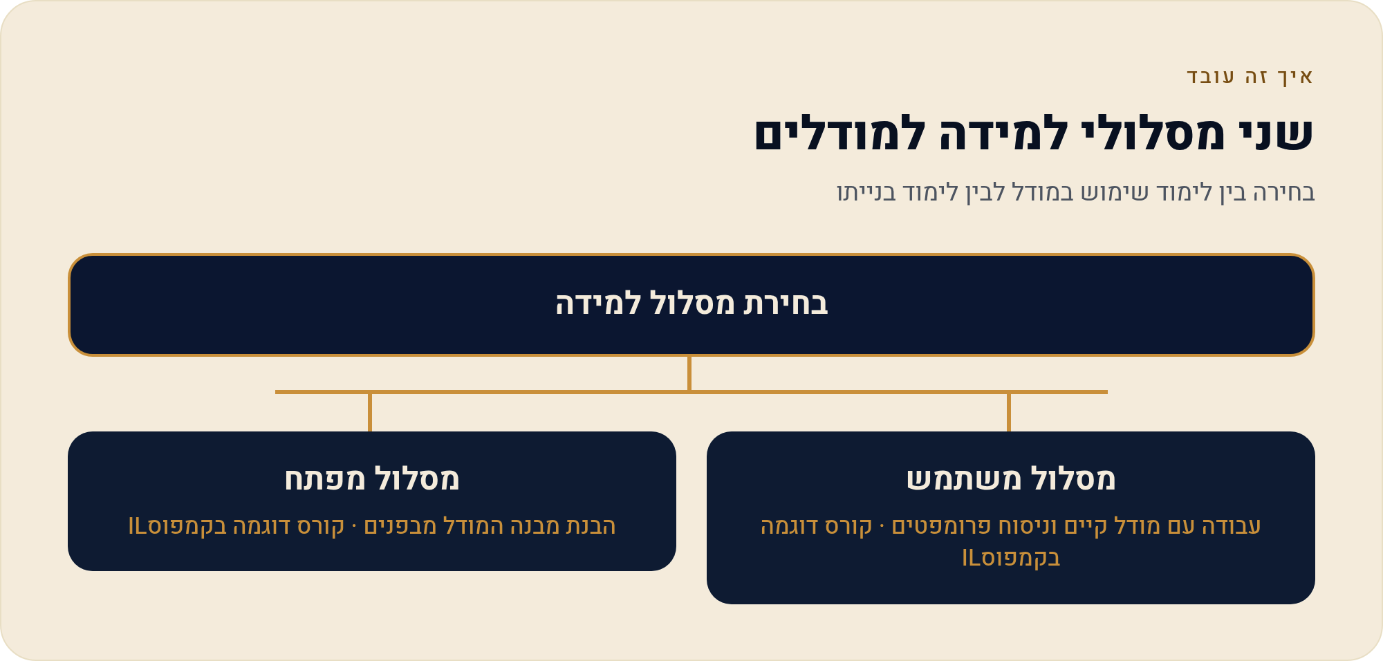 ללמוד להשתמש ב-AI או ללמוד לפתח AI שני מסלולים שונים לגמרי 1 בחירה בין לימוד שימוש במודל לבין לימוד בנייתו