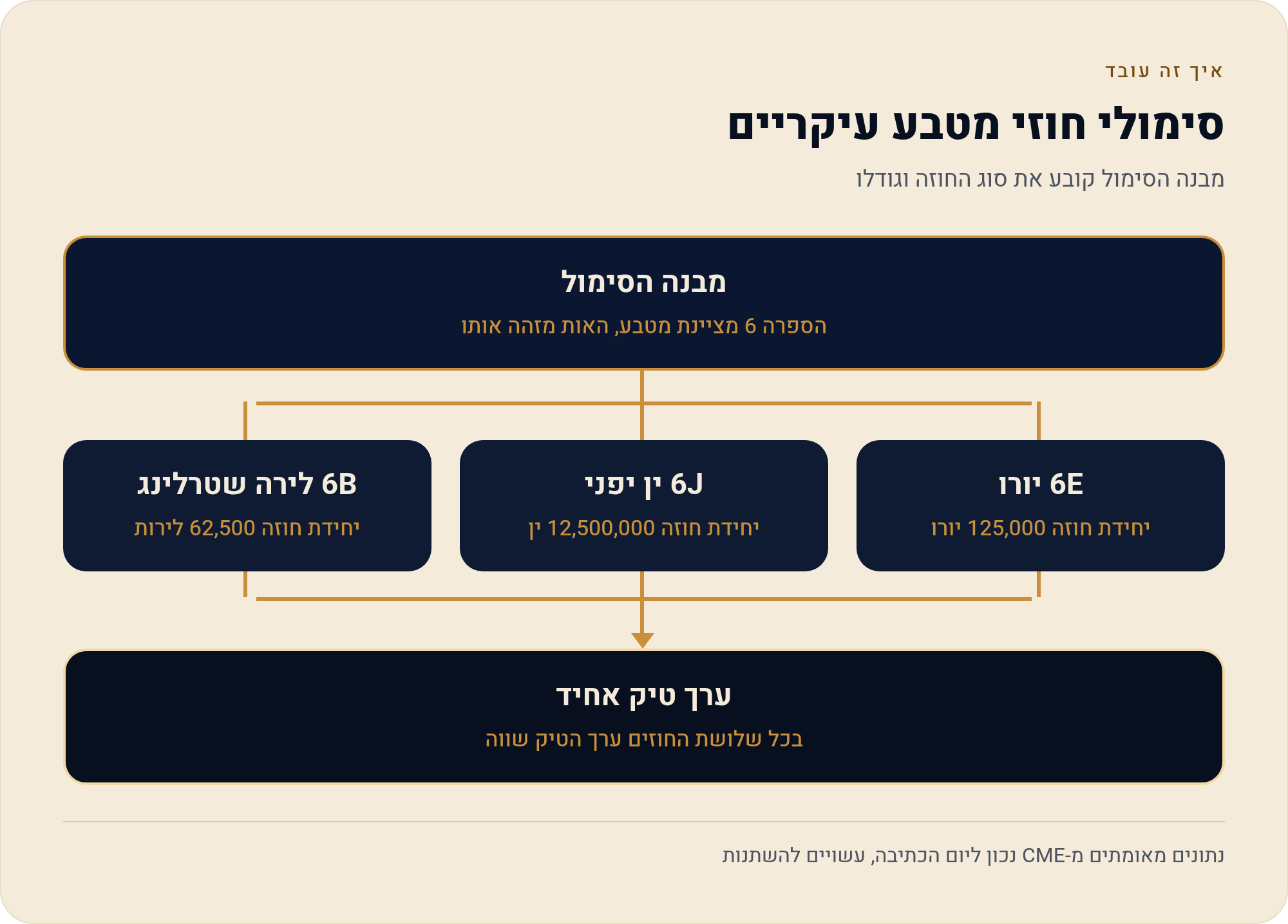 חוזי מטבעות בבורסת CME — מבנה, ערך-טיק וסילוק 2026 2 מבנה הסימול קובע את סוג החוזה וגודלו