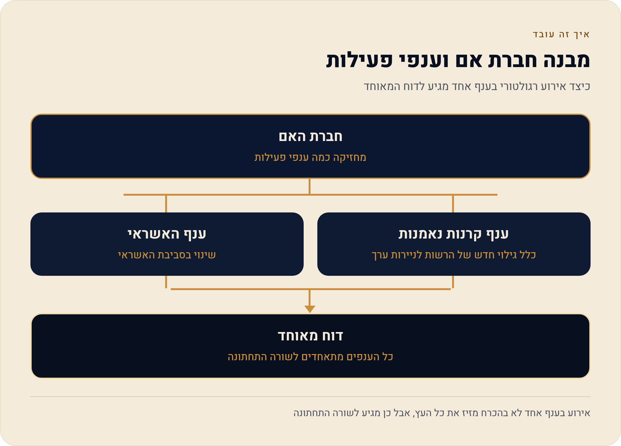מבנה חברת-אם וחברות בנות: מה בדיוק אתם קונים כשאתם קונים את המניה 2 כיצד אירוע רגולטורי בענף אחד מגיע לדוח המאוחד