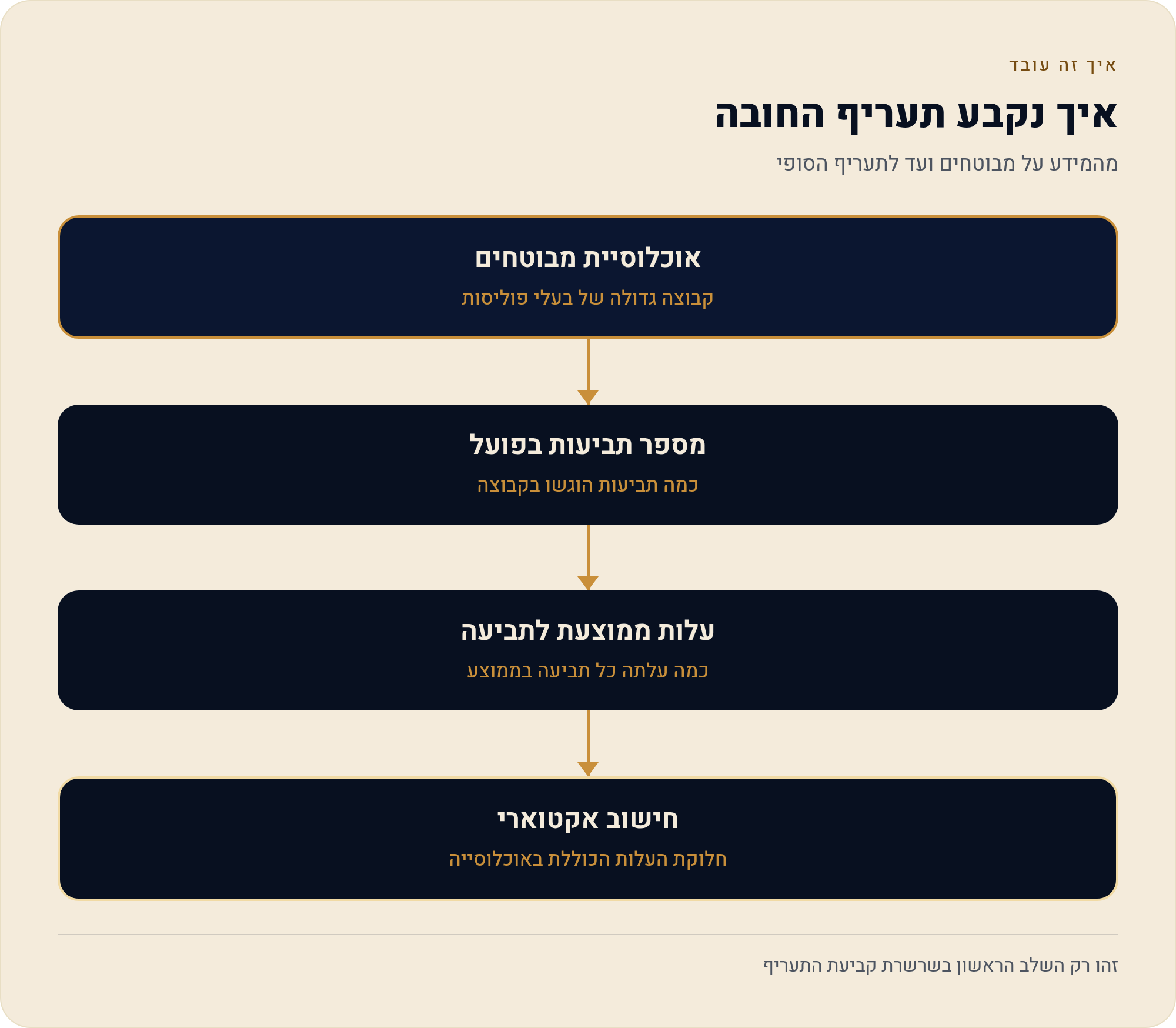 למה ביטוח חובה לאופנוע יקר יותר מלרכב פרטי 1 מהמידע על מבוטחים ועד לתעריף הסופי