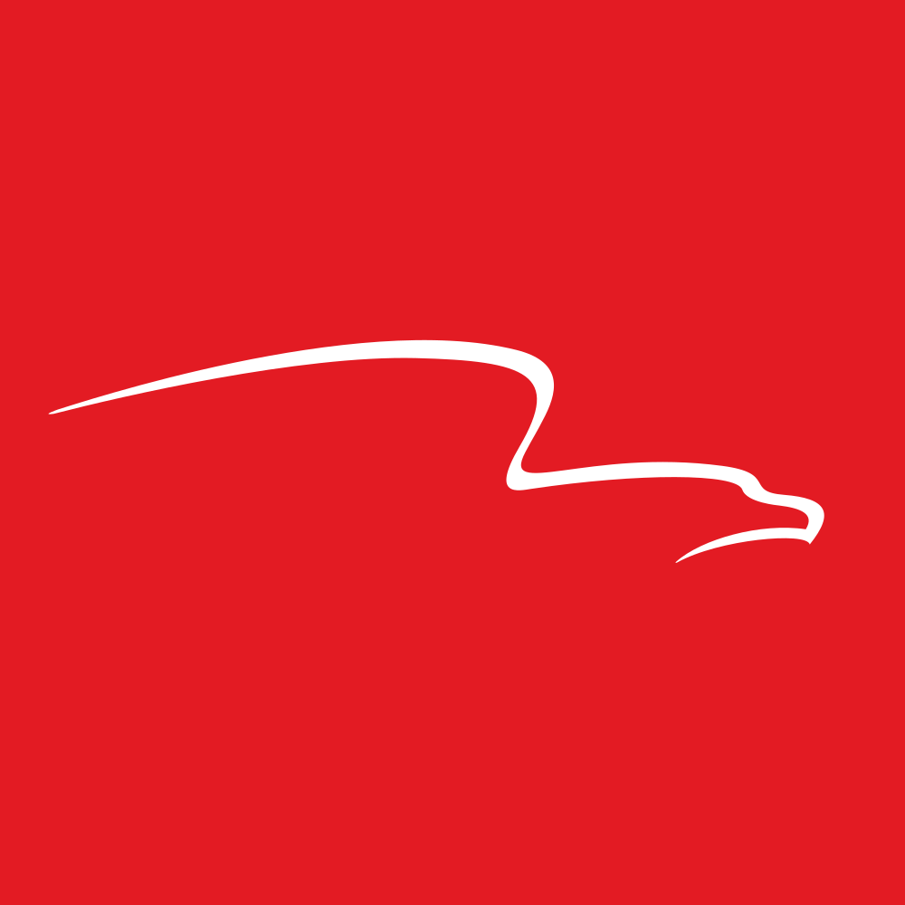 מניית American Financial Group (AFG) 1 לוגו American Financial Group Inc