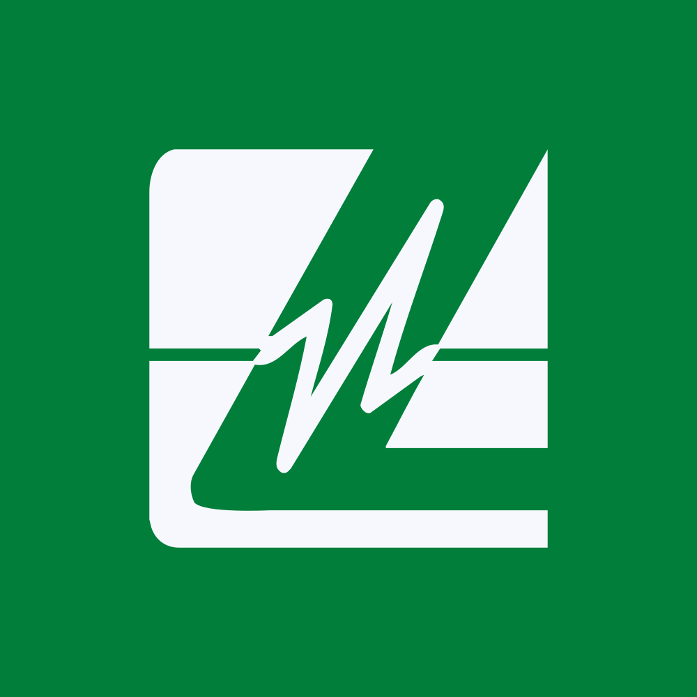 מניית Littelfuse Inc (LFUS) 1 לוגו Littelfuse Inc