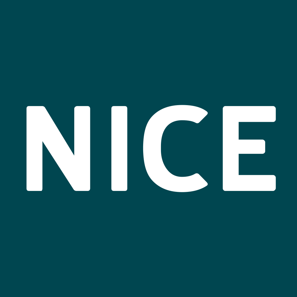 מניית נייס Nice (NICE) 1 לוגו נייס Nice